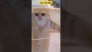 Cat vs man rope jump cat cats animals funny shorts [upl. by Rosenbaum]