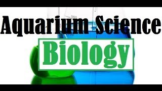 Aquarium Science  Freshwater Biology [upl. by Conant]