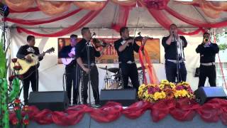 Mariachi Nuevo Estilo ADM  Stand by Me [upl. by Hesketh]