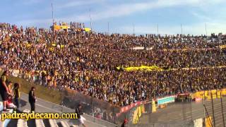 Canción Peñarol quotYo igual te sigo no importa a dondequot [upl. by Mead]