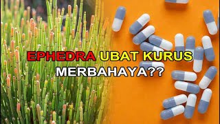 EPHEDRA DIANGGAP TUMBUHAN HERBA YANG BOLEH MEMBUNUH [upl. by Ellecrag]