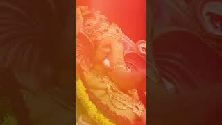 ganeshchaturthi Champapet devotional ganeshcelebration [upl. by Gaidano241]