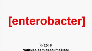 Pronounce Enterobacter  SpeakMedical [upl. by Diaz]