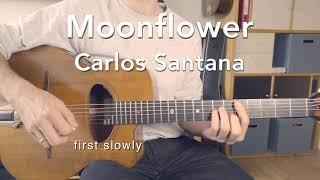 Moonflower  chord lesson with tab  gypsy style [upl. by Ofloda]