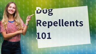 What repels dogs from pooping in your yard [upl. by Kcor752]