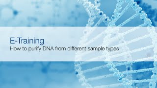 Sample preparation for nucleic acid extraction [upl. by Triplett400]