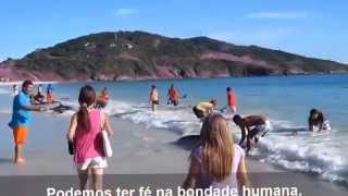 Golfinhos encalhados na areia Prainha em Arraial do Cabo RJ – Brasil [upl. by Llesram]