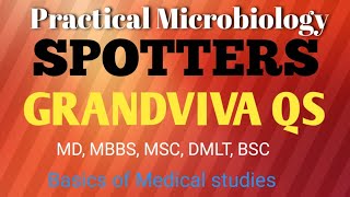 Microbiology Practical MbbsMicrobiology Spotters Mbbs1  Grand viva question 1cbme [upl. by Matazzoni]