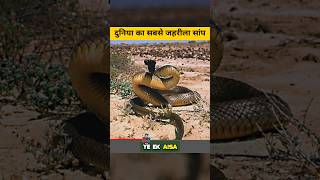 Inland Taipan Snake Facts inlandtaipan facts [upl. by Egide]