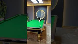 Best gameplay❤️shortsfeed billiards snookering 8ballpool shortvideo shortsfeed shorts [upl. by Anibor]