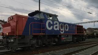 SBB Cargo Am 843 063  Niederglatt [upl. by Nylisoj]