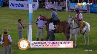 Festival de Jineteada y Folclore Diamante 2016  Jineteada categoría Crina Limpia [upl. by Assert]