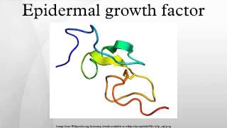 Epidermal growth factor [upl. by Neirol644]