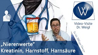 Erhöhte Nierenwerte in Blut amp Urin 🔎 Kreatinin Harnsäure Harnstoff amp Cystatin C verbessern [upl. by Crutcher]