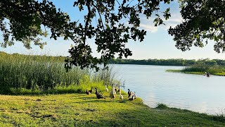 Sunshine Lake Weatherford Texas [upl. by Somisareg]