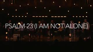 Psalm 23I AM NOT ALONE  PEOPLE AND SONGS with lyrics [upl. by Yborian]