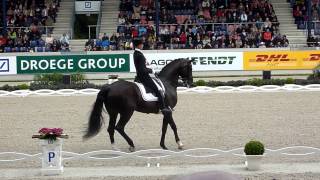 CHIO AACHEN Grand Prix 2013 Andreas Helgstrand  Akeem Foldager [upl. by Dierdre]