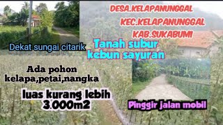 Jual tanah murah kebun sayuran luas 3000m2 hrg 150rbmeter kec kelapanunggal [upl. by Richella]