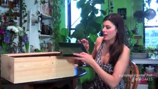 How to Green Your Home Part 3 Grow Seeds in a Wine Box [upl. by Drue503]