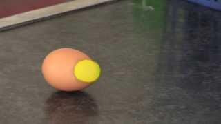 Egg Experiment to Demonstrate Inertia [upl. by Ahrat]