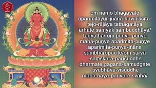 Amitayus Long Mantra  DDIS chanting [upl. by Lilithe]