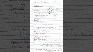 spermatic cord anatomy notes [upl. by Gerhardine798]