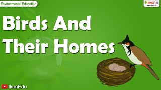 Learn About Birds And Their Homes  iKen  iKenEdu  iKenApp [upl. by Gregoor]