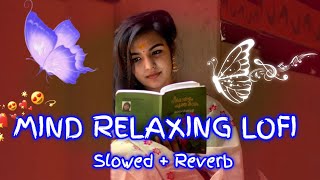 💕Mind Relaxing Love Songs 2024  Mind Relax Lofi Mashup 2024  Hindi Mind relaxing song Part 0024 [upl. by Ethel]