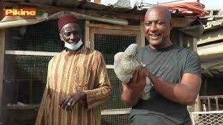 BERGERIE MAME BALLA DIAGNE PIKINE TALLY BOUMACK LADOUMES PIGEONS DE RACE foire CEB 21MAI5JUIN [upl. by Santoro]