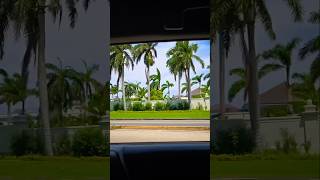 🌴 Scenic Drive through Montego Bay Jamaica 🇯🇲 travel vlog jamaica [upl. by Enomys222]