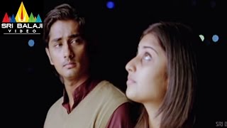 Oye Movie Shamili Celebrating Siddharth Birthday Scene  Siddharth Shamili  Sri Balaji Video [upl. by Assital6]