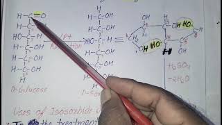 Isosorbide dinitrate synthesis Antianginal drug B Pharm Third year fifth semester New PCI syllabus [upl. by Akire]