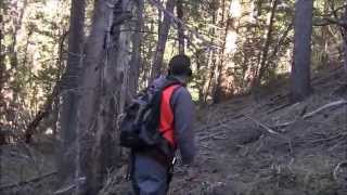 Epic Bigfoot Expedition Most Evidence One Expedition [upl. by Ahterod735]