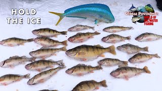 2024 SEASON  Episode 2 Lake Mille Lacs Minnesota Ice Fishing [upl. by Nessim]