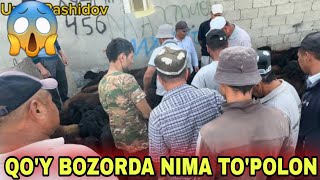 QOY QOZI QOCHQOR NARXLARI SURXONDARYO MUZRABOT ZANG MOLBOZORI [upl. by Giarg649]