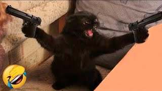 Try Not To Laugh Dogs And Cats 😁  Best Funniest Animals Video 2024  Part 72 [upl. by Alywt]