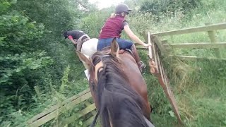 Three nice riders helped Bella with an awkward gate I think Bella is mentally tired 2 days riding🥱 [upl. by Debby]