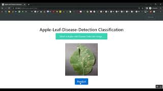 MLBF Net A Multi Lead Branch Fusion Network for Multi Class Arrhythmia Classification Using 12 Lead [upl. by Dlorad]