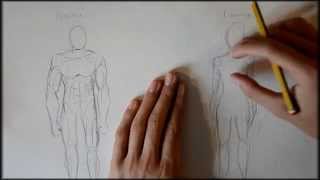 tuto les proportions de lhomme et de la femme [upl. by Ynohtna]