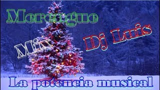 Merengue Mix Para Bailar El Fin De Año Dj LuisMezcla [upl. by Atnima]