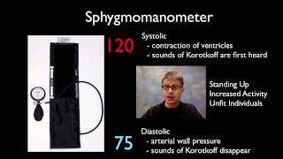 AP Biology Lab 10 Physiology of the Circulatory System [upl. by Zucker]