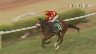 DULARI wins The Dady Adenwalla Trophy Div1 [upl. by Young]