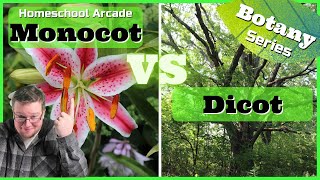 Monocots VS Dicots  6 Main Differences Between Monocots amp Dicots [upl. by Assilim137]