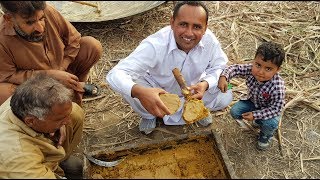 Traditional Jaggery Making  Organic Jaggery  Jaggery Production Process  Village Food Secrets [upl. by Noet]