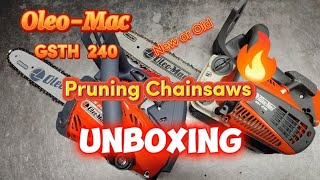 Unboxing  Small chainsaw from Italian  OleoMac GSTH 240 VS GST 250 chainsaw [upl. by Einahets]