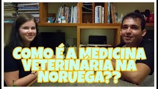 TOP 10 faculdades de veterinária do Brasil  Vetvlog 27 [upl. by Omero688]