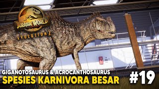 GIGANOTOSAURUS DAN ACROCANTHOSAURUS BERHASIL KITA HADIRKAN  JURASSIC WORLD EVOLUTION 2  PART 19 [upl. by Ayikin]