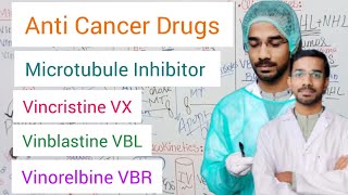 Vincristine  Vinblastine  Vinorelbine  Microtubule Inhibitor  Anticancer Drugs [upl. by Ecnal]