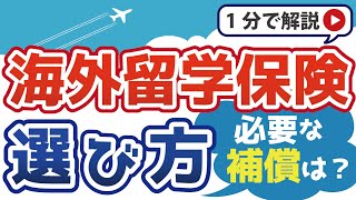 【海外留学保険】押さえておきたい9つの補償とサポート！ [upl. by Oaht]