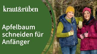 Apfelbaum schneiden 🍎  Apfelbaumschnitt für Anfänger [upl. by Atener]